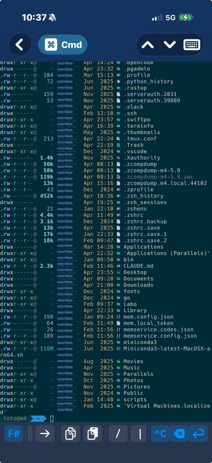 FishMux terminal screenshot