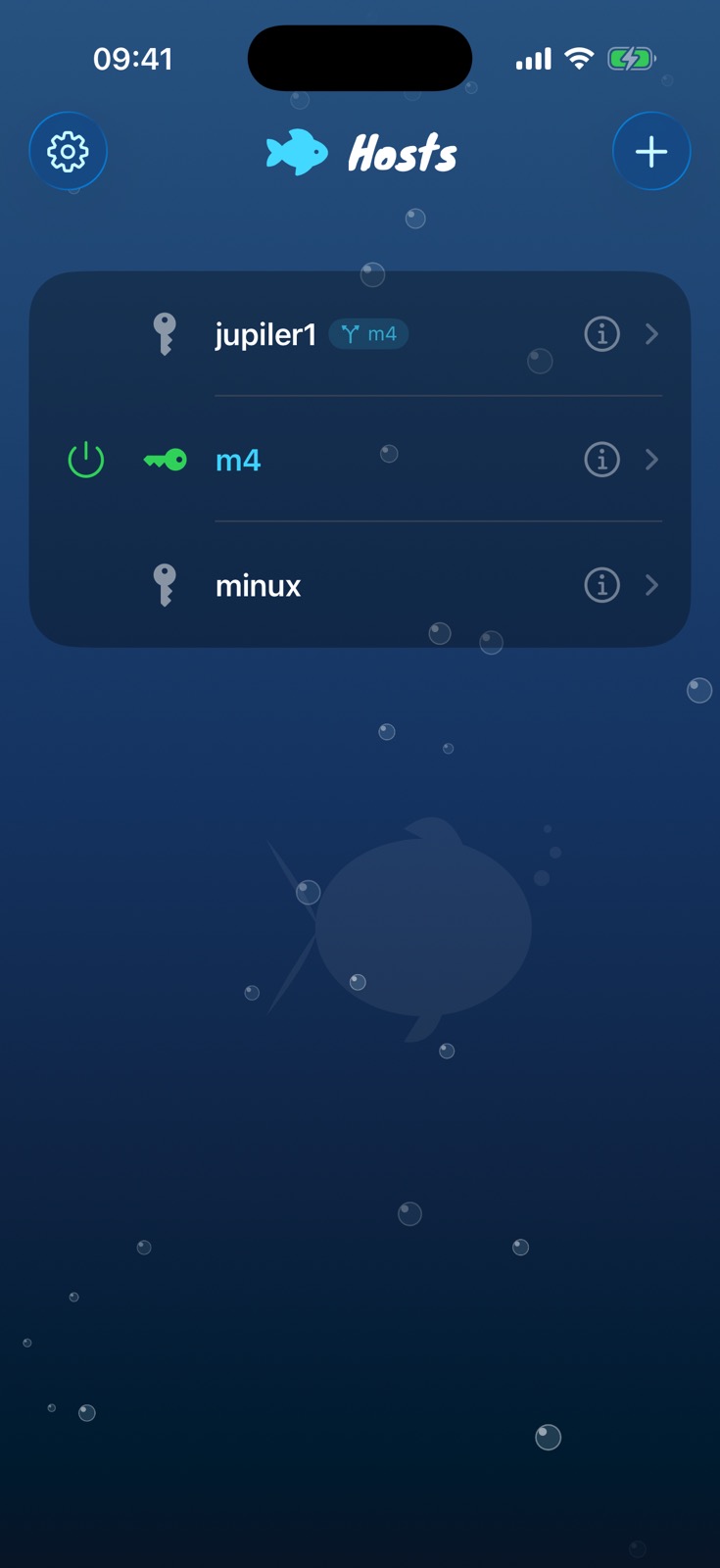 FishMux server list — local hosts highlighted in cyan