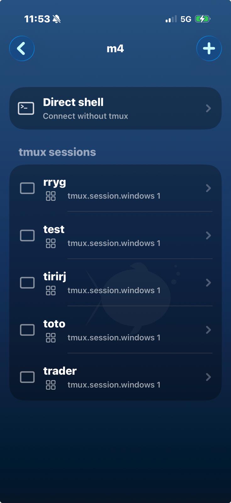 FishMux tmux sessions list